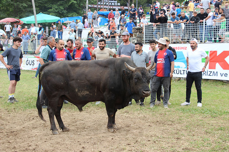 aa-20230707-31618318-31618312-42-kafkasor-kultur-turizm-ve-sanat-festivali-boga-guresleriyle-devam-ediyor01.jpg