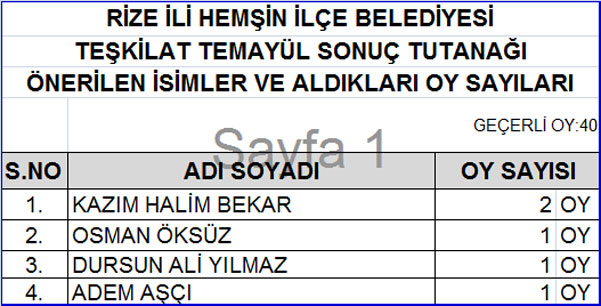 akp-rize-temayul-sonuclari-15.jpg