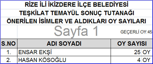 akp-rize-temayul-sonuclari-17.jpg