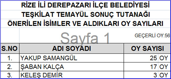 akp-rize-temayul-sonuclari-9.jpg