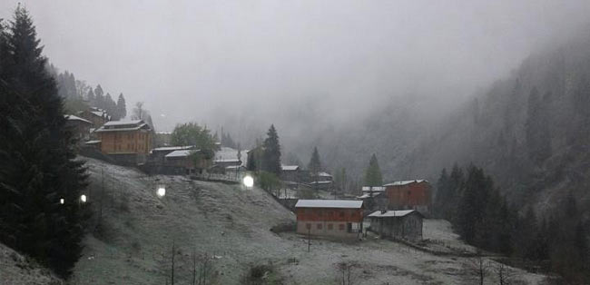 ayder1.20130423125101.jpg