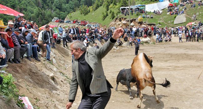 ayder4.20130609183337.jpg