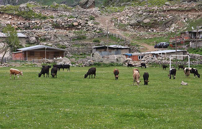 yayla1.20140526125606.jpg