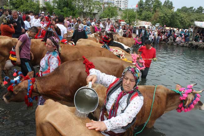 yayla2.20120520161410.jpg