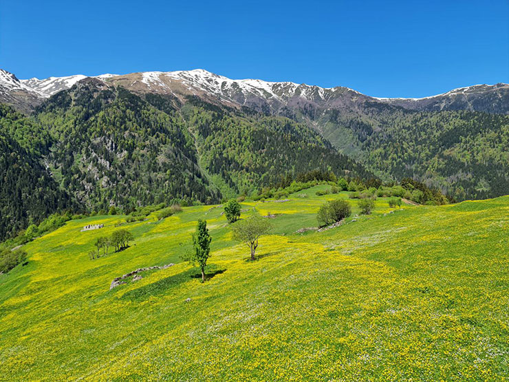 yayla3-028.jpg