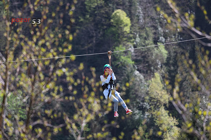 zipline1.jpg